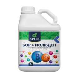 Мікродобриво АгроРост Бор + Молібден 5л. Мікродобриво АгроРост Бор + Молібден 5л.