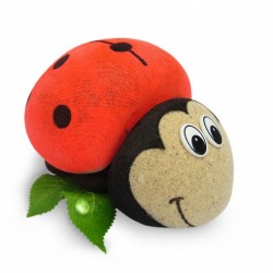 Трав'янчик Сонечко Трав'янчик Сонечко