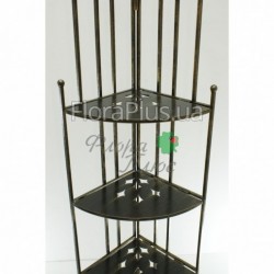 Меблі Полка кутова 5