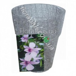 Вазон для орхідей склянний 50.001.14 Вазон для орхідей склянний 50.001.14