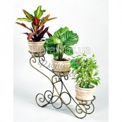 Підставка для квітів Каскад 3 міні