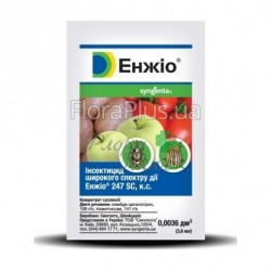 Енжио (1,4г) Сингента (оригінал) Енжио (1,4г) Сингента (оригінал)