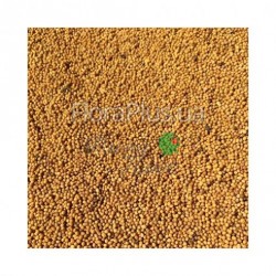 Насіння гірчиці жовтої 1кг Насіння гірчиці жовтої 1кг