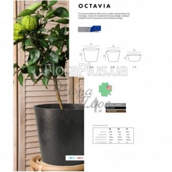 Вазон Октавія з вставкою морозостійкий 15см 