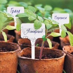 Табличка інформаційна з маркером 9 * 3 * 6 см, 50 шт