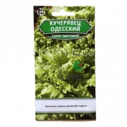 Насіння Салат листової кучерявець одеський 1,5 г Насіння Салат листової кучерявець одеський 1,5 г