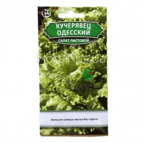 Насіння Салат листової кучерявець одеський 1,5 г