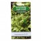 Насіння Салат листової кучерявець одеський 1,5 г