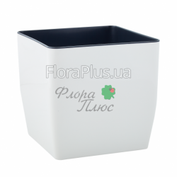 Вазон з автополивом Квадро низький зі вставкою 16*16*15,5