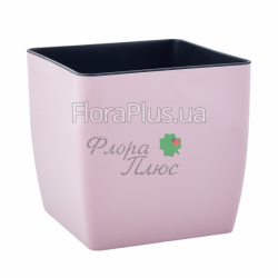 Вазон з автополивом Квадро низький зі вставкою 22*22*21