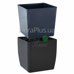 Вазон з автополивом Квадро низький зі вставкою 16*16*15,5