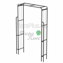 Арка садова фіалка