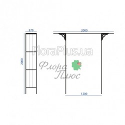 Арка садова тюльпан