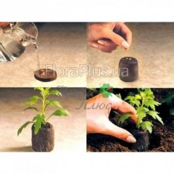 Торф'яні таблетки для розсади Ellepress 36д  ящик 1500шт