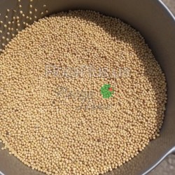 Насіння гірчиці білої 1кг Насіння гірчиці білої 1кг