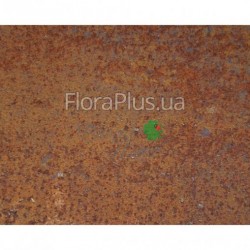 Декор для саду Лось Декор для саду Лось