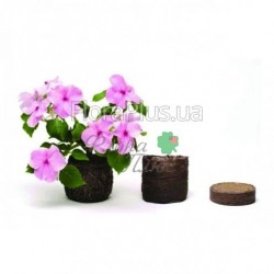 Торф'яні таблетки для розсади Ellepress 36д  ящик 1500шт