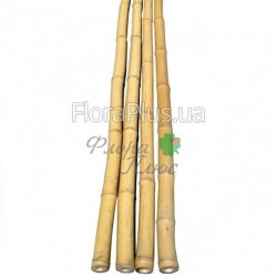 Опора бамбук Опора бамбук